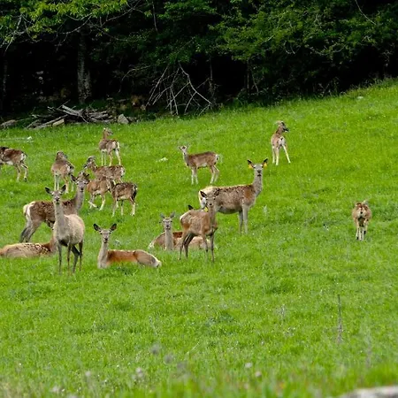 Il Passeggere Farm stay